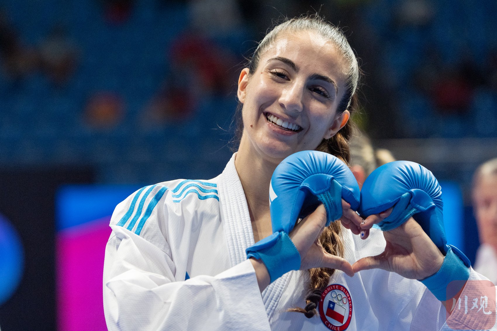 智利队在国际赛事中表现出色 智利队在国际赛事中表现出色