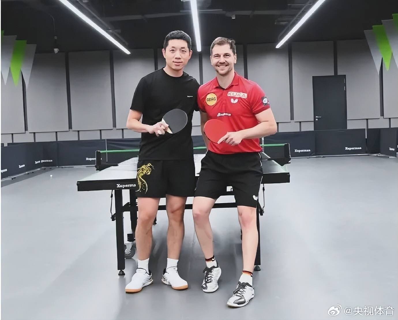日本乒乓球队险胜德国乒乓球队,波尔送出助攻 日本乒乓球队险胜德国乒乓球队,波尔送出助攻