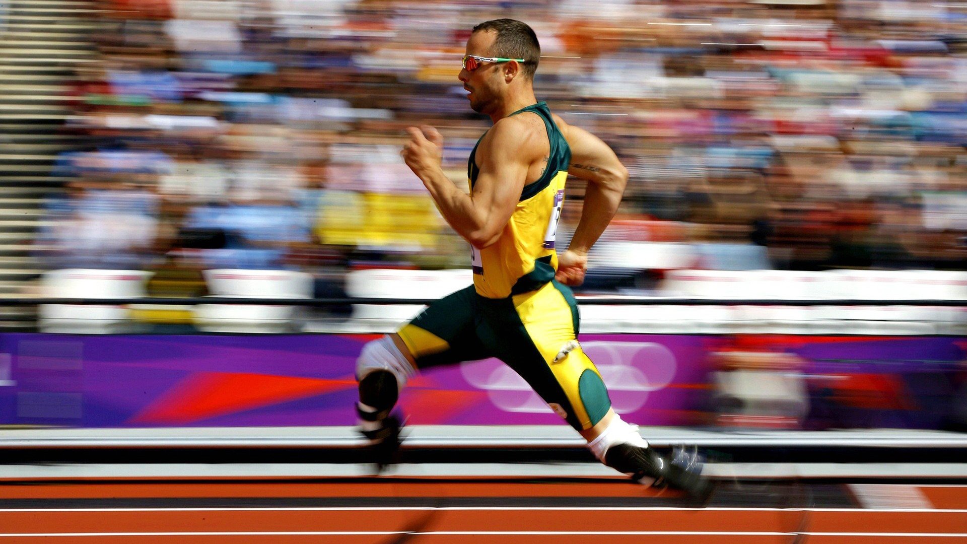 德甲争冠夜，武切维奇铁血防守，铸就冠军之路